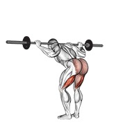 barbell good morning