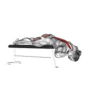 hyperextension (on bench)