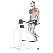 triceps dip