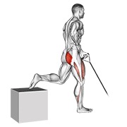 band one arm single leg split squat