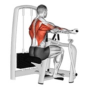 lever reverse grip vertical row