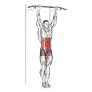 hanging leg hip raise