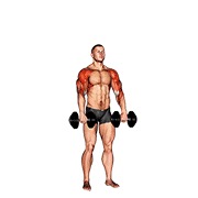 dumbbell cuban press v. 2