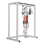 arm slingers hanging bent knee legs