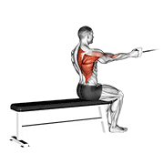 cable seated one arm alternate row