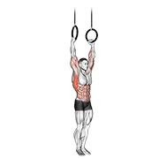 muscle up
