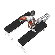 triceps dip (between benches)