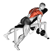 dumbbell reverse grip incline bench two arm row