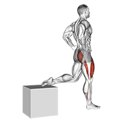 one leg squat